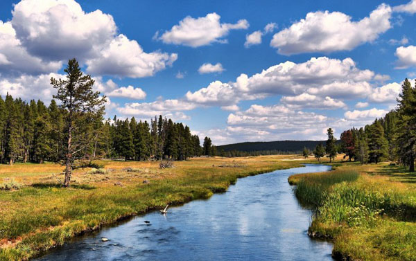 Water Laws in the United States